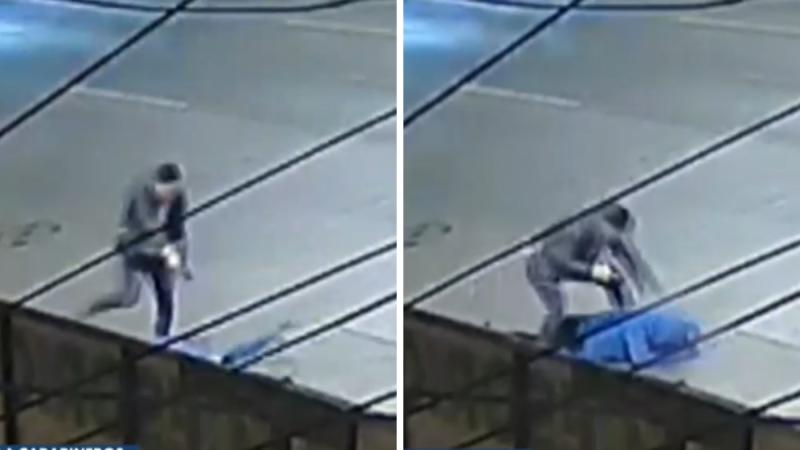 El momento en que carabinero balea a delincuente que robó camión en Cerrillos - T13