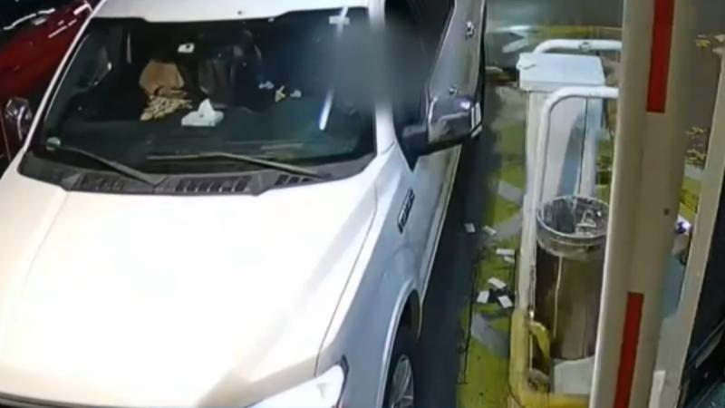 Escort condenada niega homicidio de empresario - T13