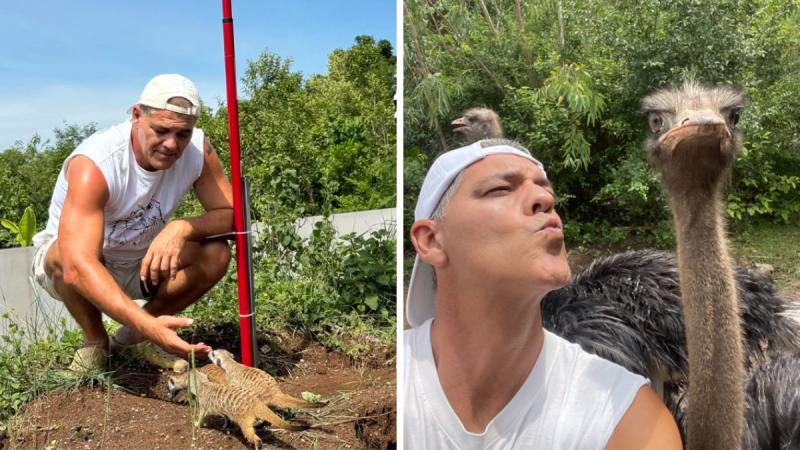 Frank Cuesta - Instagram