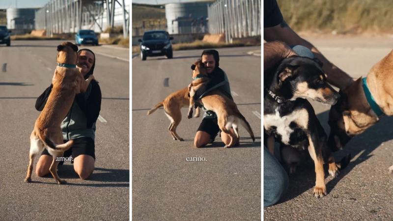 Redes sociales - Influencer español se viralizó al adoptar a perrita callejera chilena