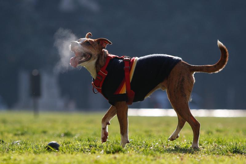 AGENCIA UNO - Bajan las temperaturas: Revisa el pronóstico completo de este jueves 26 de junio