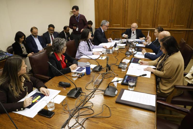 Aton- La entonces superintendenta participó de la comisión de Salud del Senado