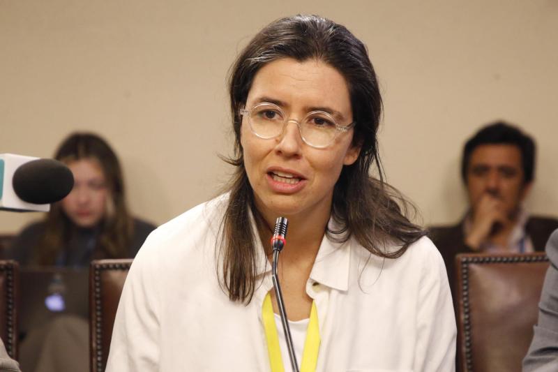 Aton - Exdirectora del Servicio Nacional de la Mujer y la Equidad de Género (Sernameg) de Los Ríos, Isabel Amor,