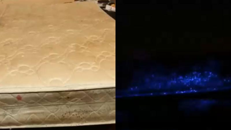 T13 - El centro de tortura de la "Reina del sur" chilena: lo que encontraron en la casa donde castigó a miembros de su banda