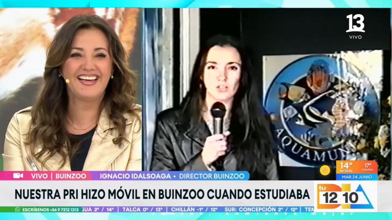 Canal 13 - Priscilla Vargas realizando un móvil en el Buin Zoo durante su etapa como estudiante universitaria