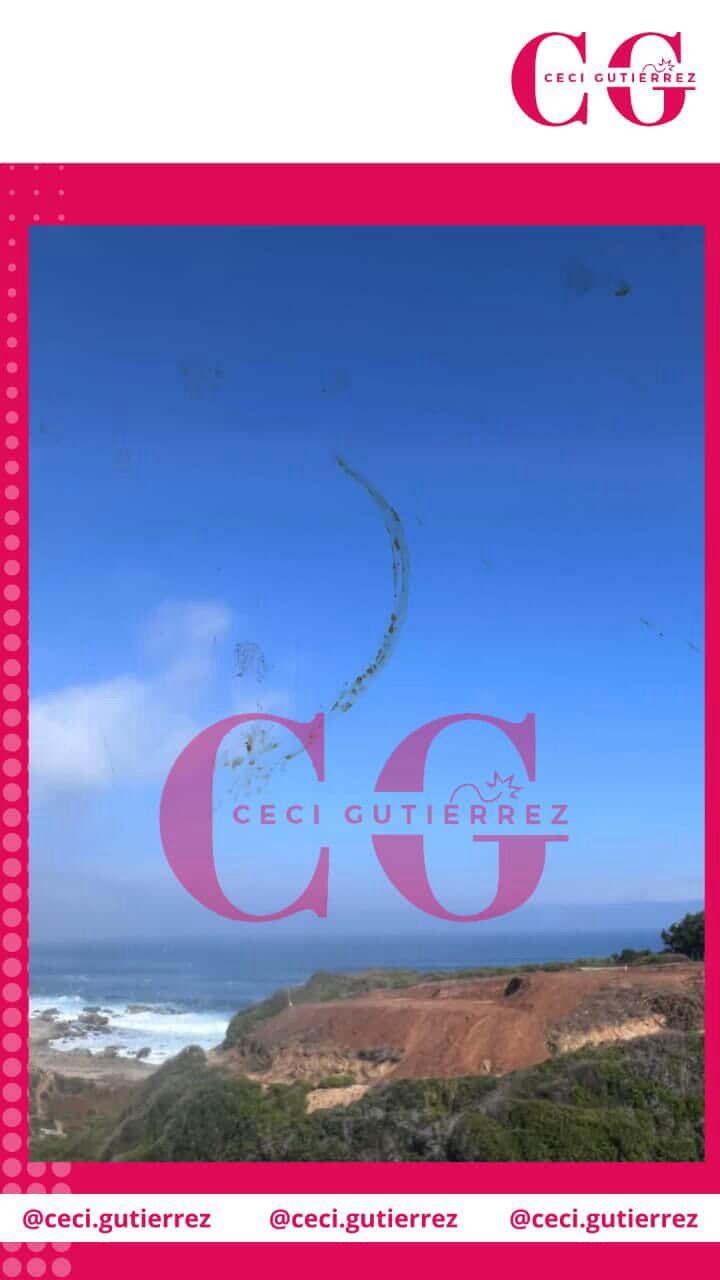 Instagram Cecilia Gutiérrez - Ritual en casa de Cristián Campos