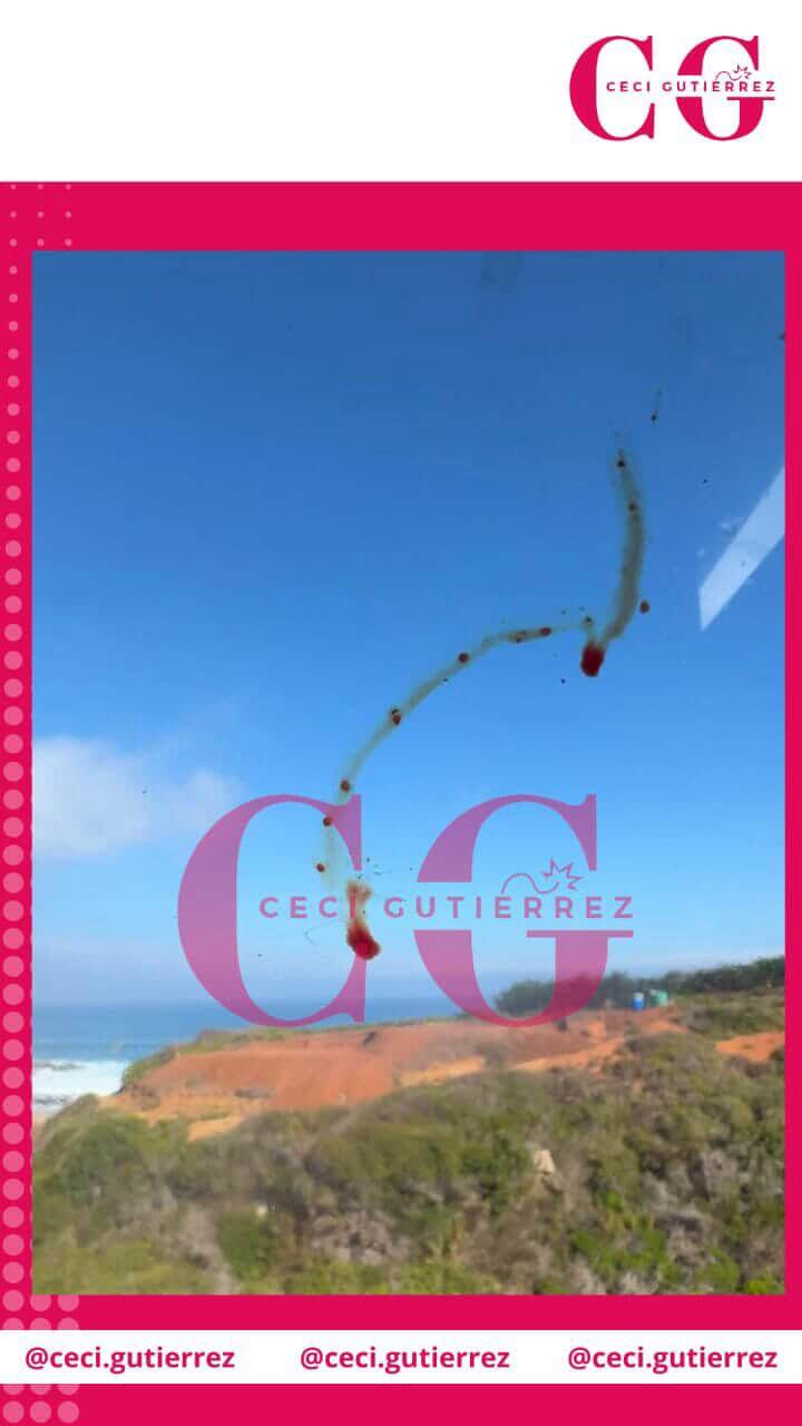 Instagram Cecilia Gutiérrez - Ritual en casa de Cristián Campos