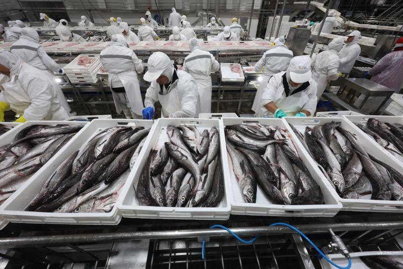 ATON - Merluza en Ley de Fraccionamiento