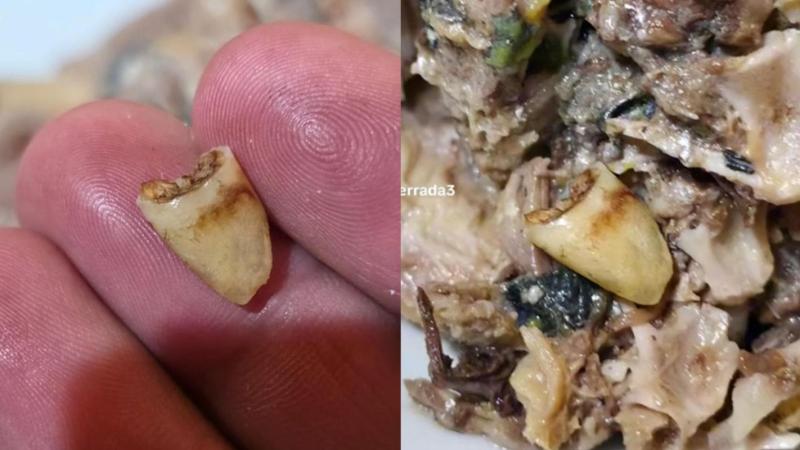 TikTok (@claudioferrada3) - Lata de jurel