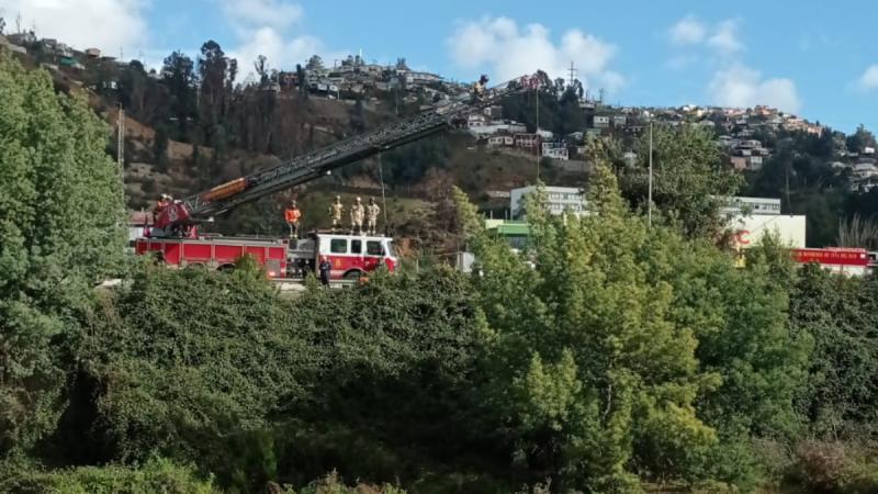 Intentan rescatar a perrita desde el estero Marga Marga - T13