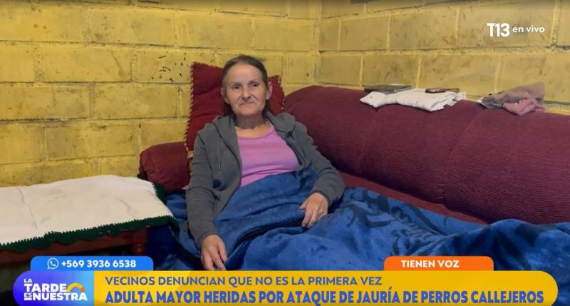 La Tarde es Nuestra - Adulta mayor atacada por jauría en San Clemente