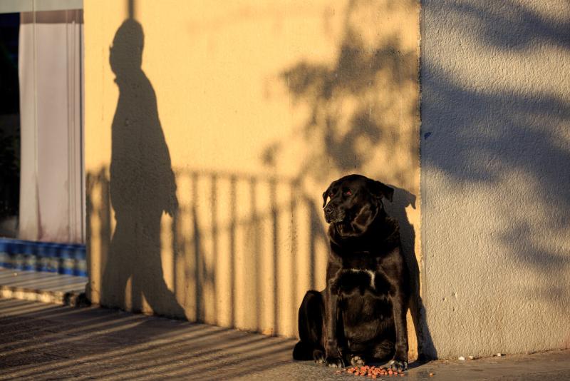 AGENCIA UNO - ¿Estamos viviendo un "veranito de San Juan"? Gianfranco Marcone lo explica