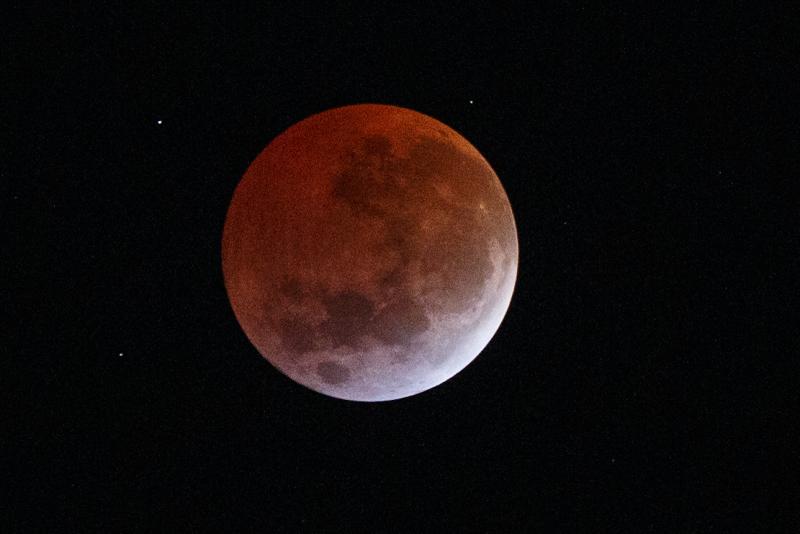 Agencia Uno (referencial) - Luna de Ciervo: de qué se trata y qué día se podrá ver el fenómeno que iluminará el cielo en julio 