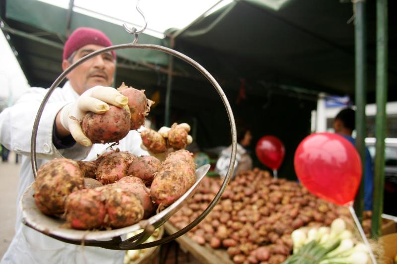 Agencia Uno - La papa desciende del tomate