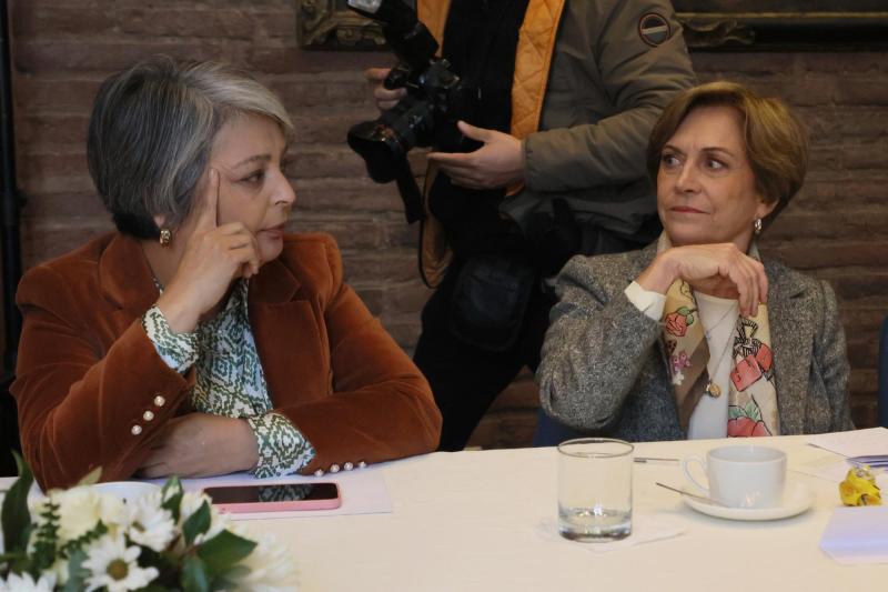 Aton- Jara aseguró haber sido víctima de desinformación como Matthei