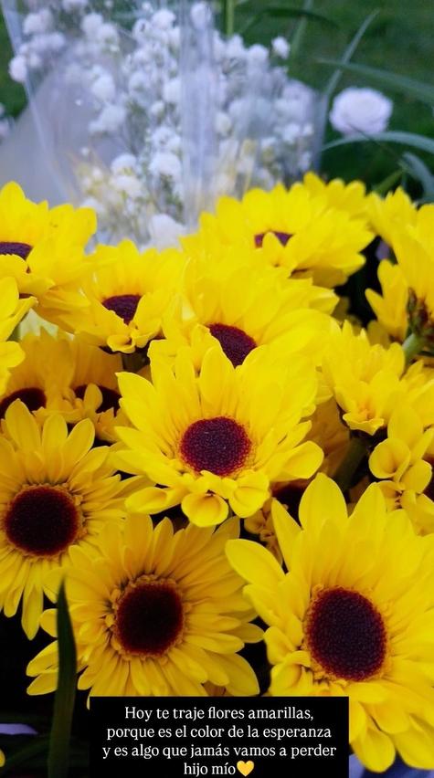 Tomás Bravo habría cumplido 8 años: su madre comparte emotivo mensaje en redes sociales - RRSS