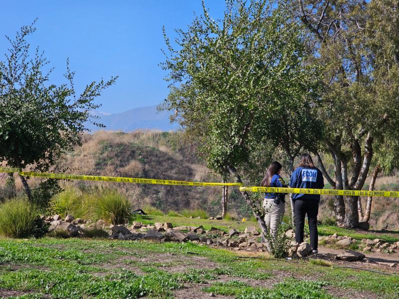 Homicidio en Colina - ECOH