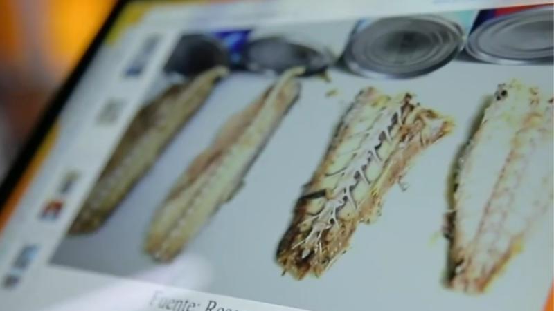 T13 - Alertan que jurel importado de China no corresponde a la misma especie que producto nacional