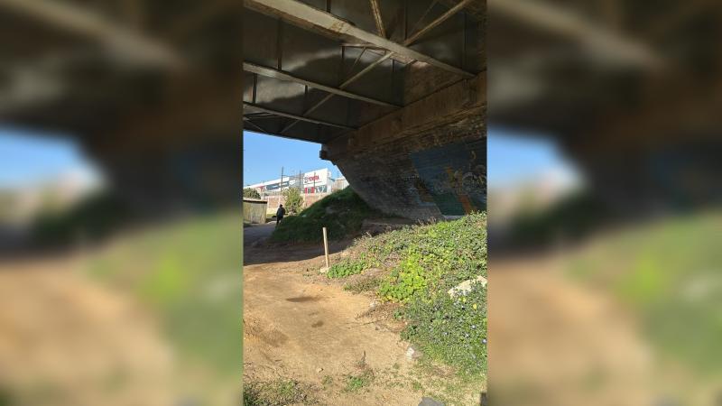 El hallazgo se concretó a un costado del estero El Sauce con el puente Llolleo, en la comuna de San Antonio