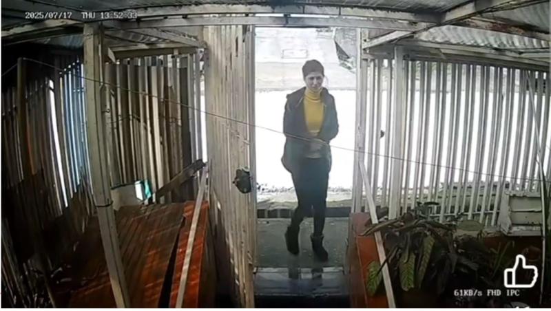 Asaltante de Lota conocida como "La gitana" - Cedida