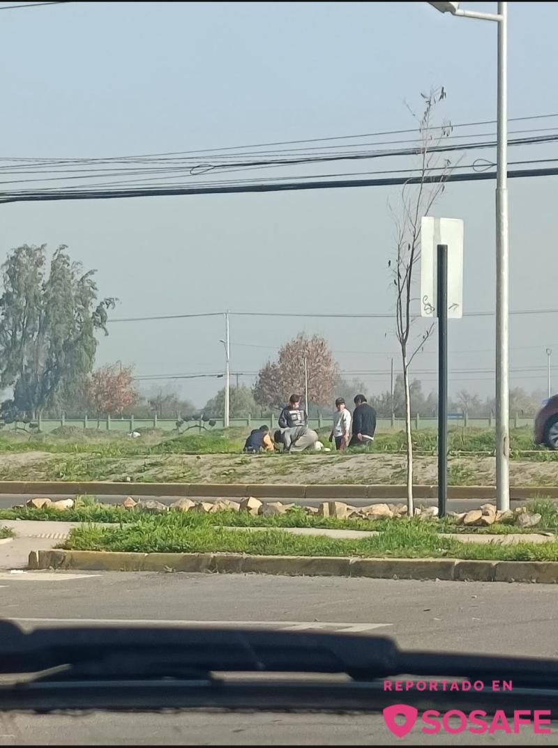 Sujetos faenaron dos caballos en Colina - Sosafe