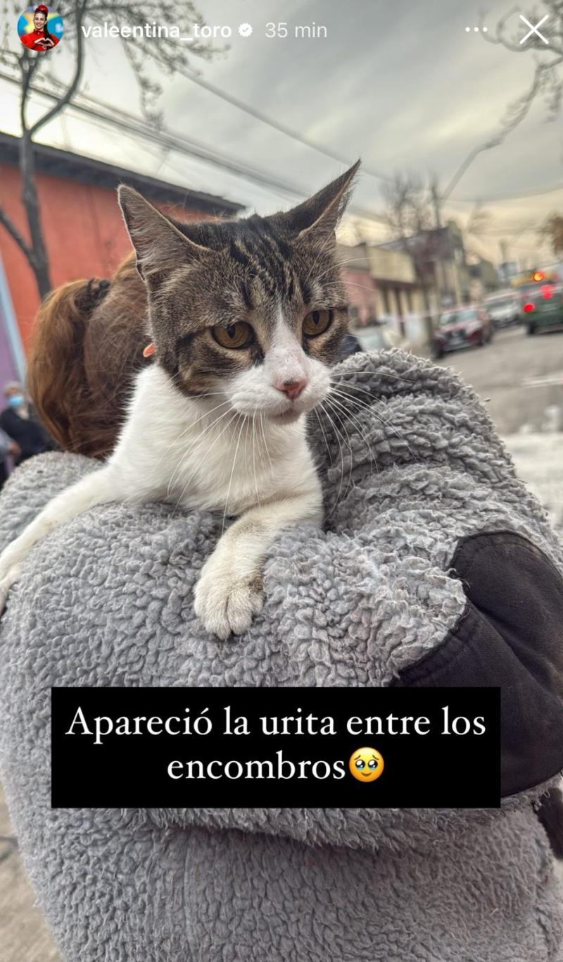 Casa de Valentina Toro se vio afectada por incendio en la comuna de Santiago | Instagram Valentina Toro