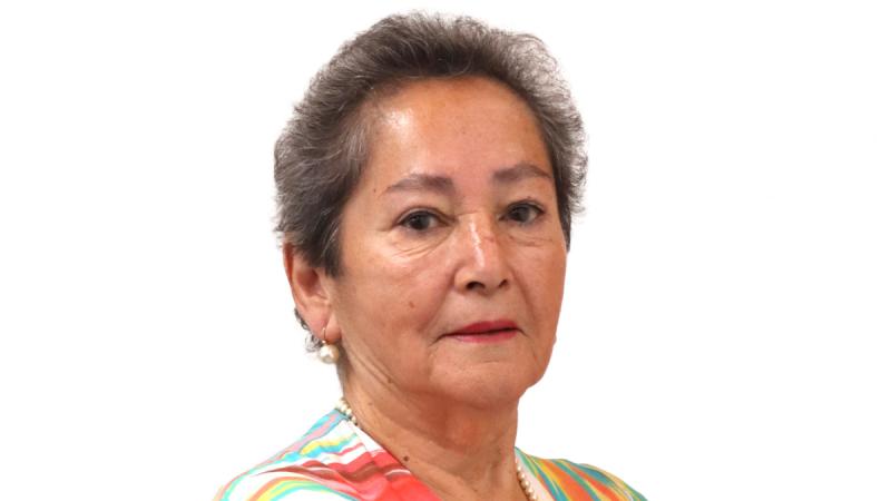 Los puntos de interés en la búsqueda de la concejala María Ignacia González - Aton