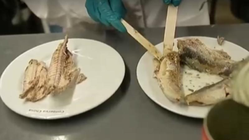 Las especies que el mercado chino vende como jurel en Chile - T13