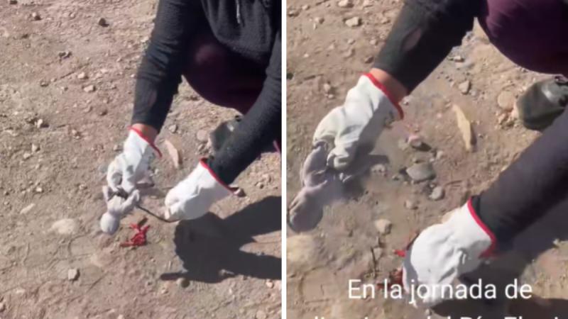 Encuentran muñeco vudú en Vicuña - TikTok @marioaroscarvajal