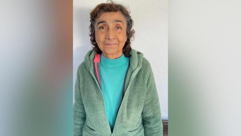 T13 - Profesora Matilde Abarca