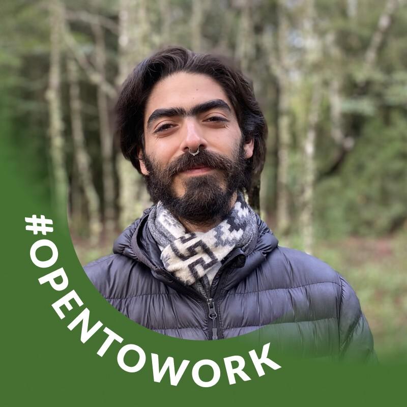 Linkedin - Pedro del Carril, hijo de Carolina Fadic