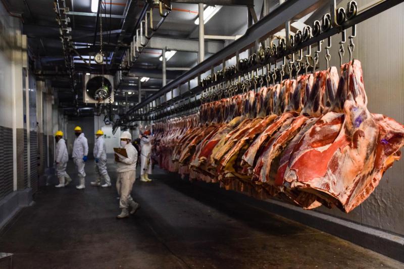 Agencia Uno - Chile suspende importación de carne desde Patagonia argentina (referencial)