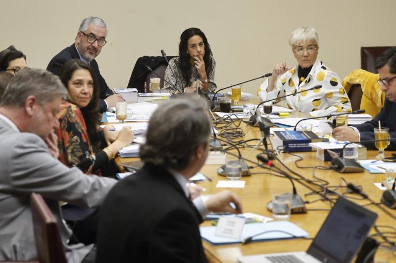Aton- Comisión de Constitución del Senado estudiará "Ley Sayén"