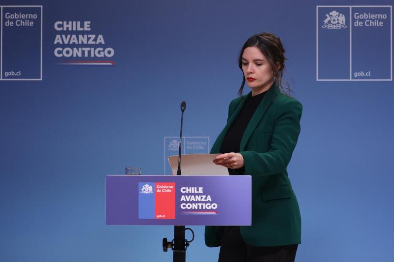 Aton- Ministra Vallejo se refirió a las disculpas de Matthei