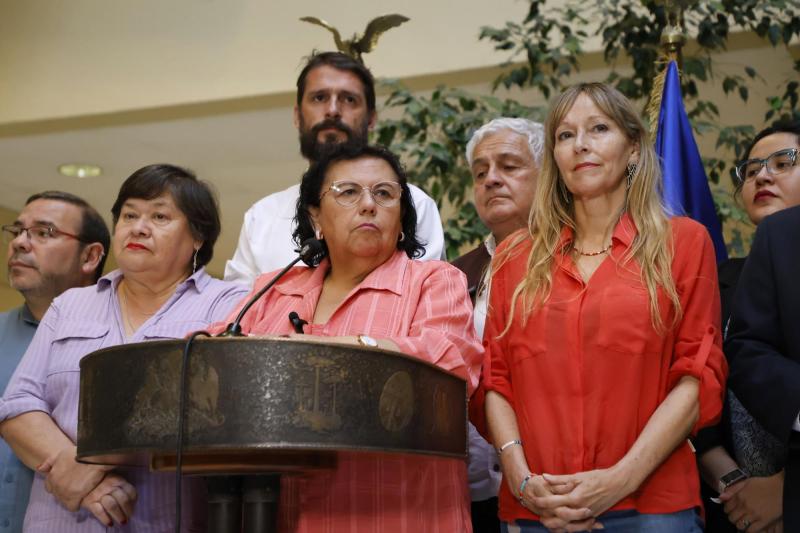 Aton- Diputada Pizarro cuestionó errores en la minuta leída por Kaiser