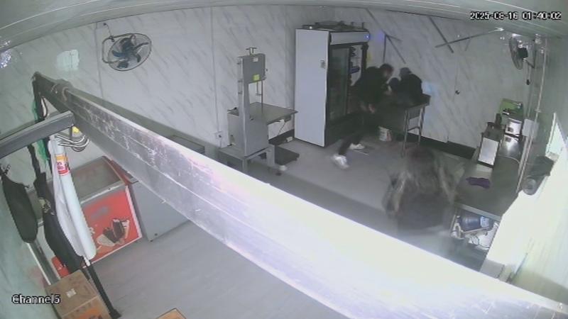 Momento en que el delincuente cayó por el cielo falso - T13