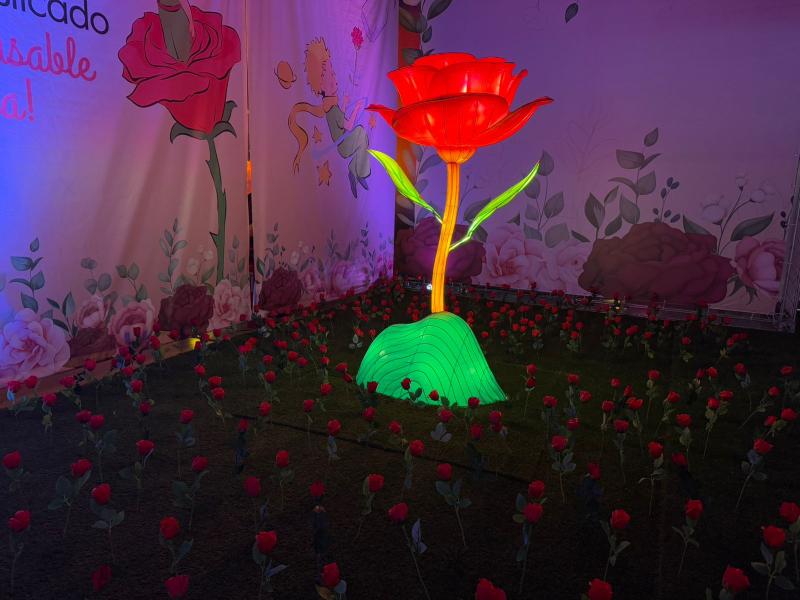 La rosa de El Principito estaba en Baquedano - Foto Metro