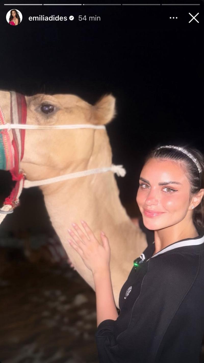 Instagram - Emilia Dides