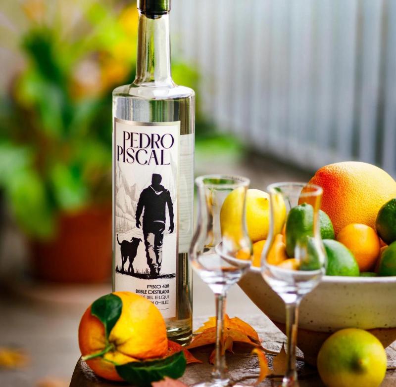 Pedro Pascal VS Pedro Piscal: Sigue la batalla legal - Pedro Piscal