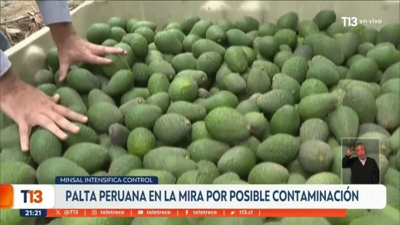 Palta peruana está en la mira por posible contaminación tras controles del MINSAL