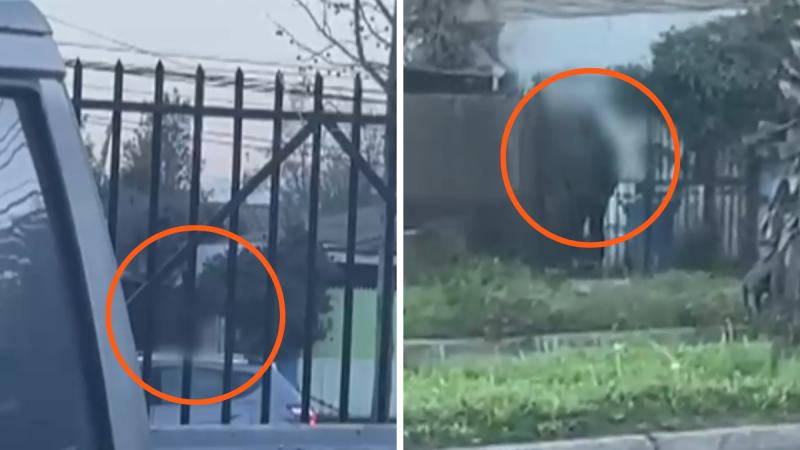 Presunto acosador merodea colegio y viviendas en Puente Alto - La Tarde es Nuestra