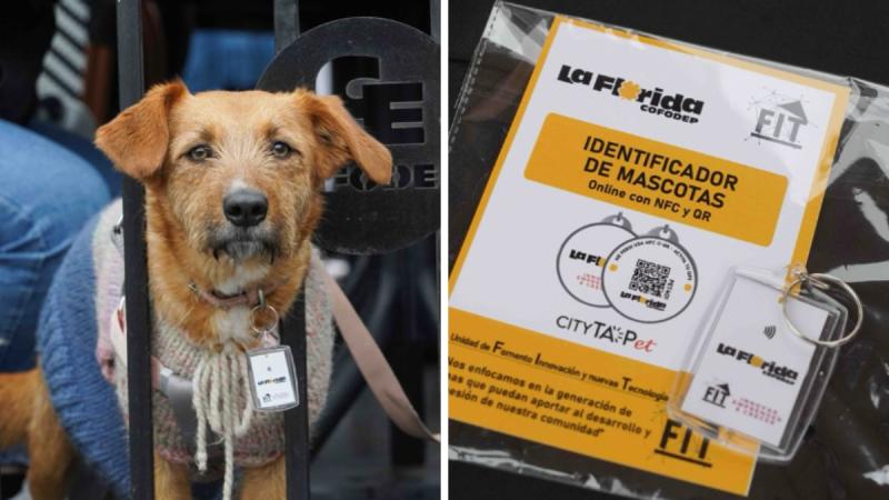 La Florida lanza collar de geolocalización para mascotas - Redes sociales