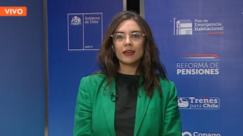 Ministra Vallejo detalla quiénes se verían beneficiados con el FES - T13 En Vivo