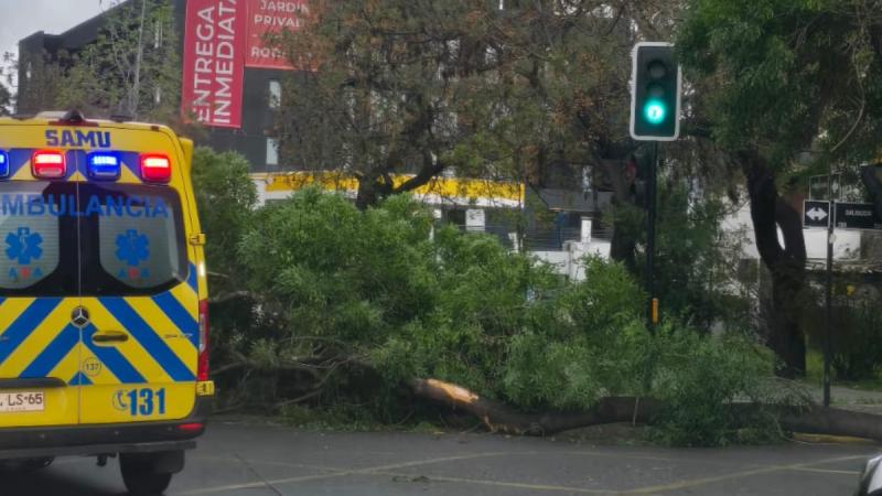 Reportan caída de árboles en comunas del sector oriente - T13