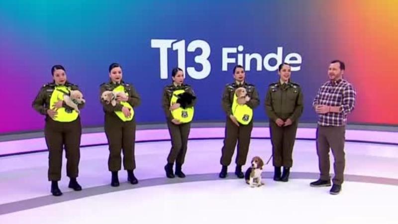 T13 Finde - ¡Las grandes estrellas! Cachorros de Carabineros visitaron T13 Finde tras desfilar en la Parada Militar