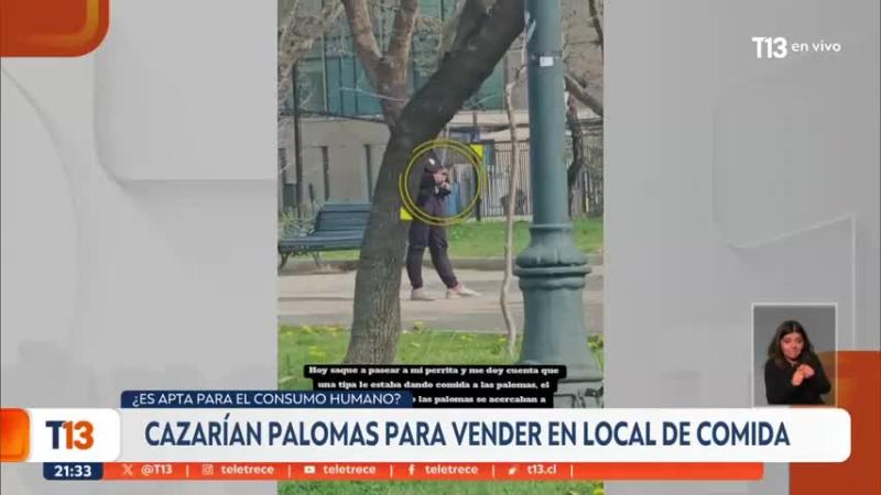 Cazan palomas para venderlas a local de comida