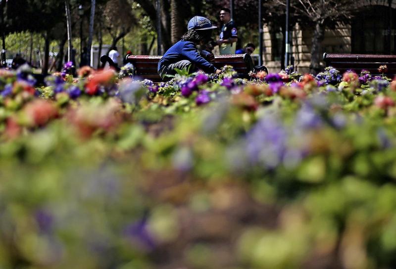 ¿Cuándo empieza la primavera este 2025? - Agencia Uno