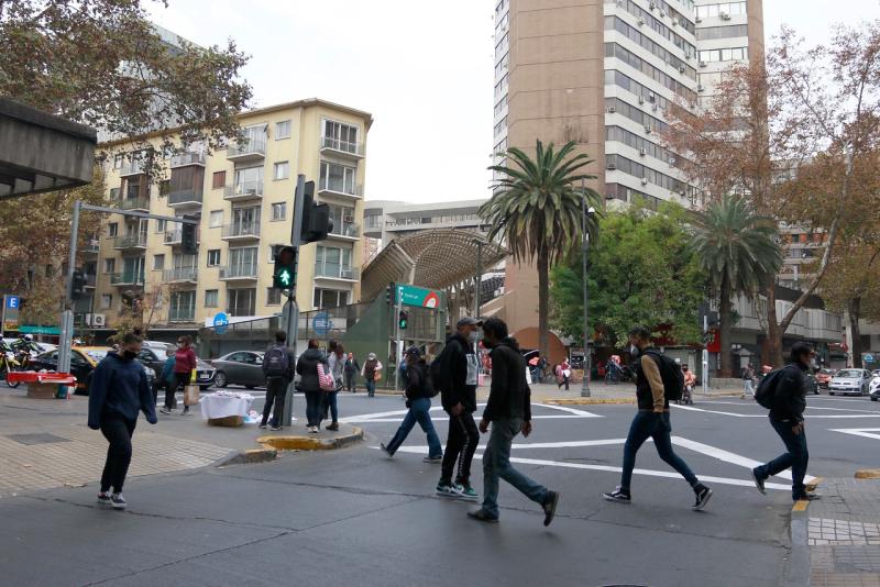 Municipalidad de Providencia explica por qué están talando plátanos orientales en la comuna