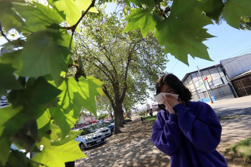 Alergia o resfriado: ¿Cómo diferenciar los síntomas? - referencial Agencia Uno