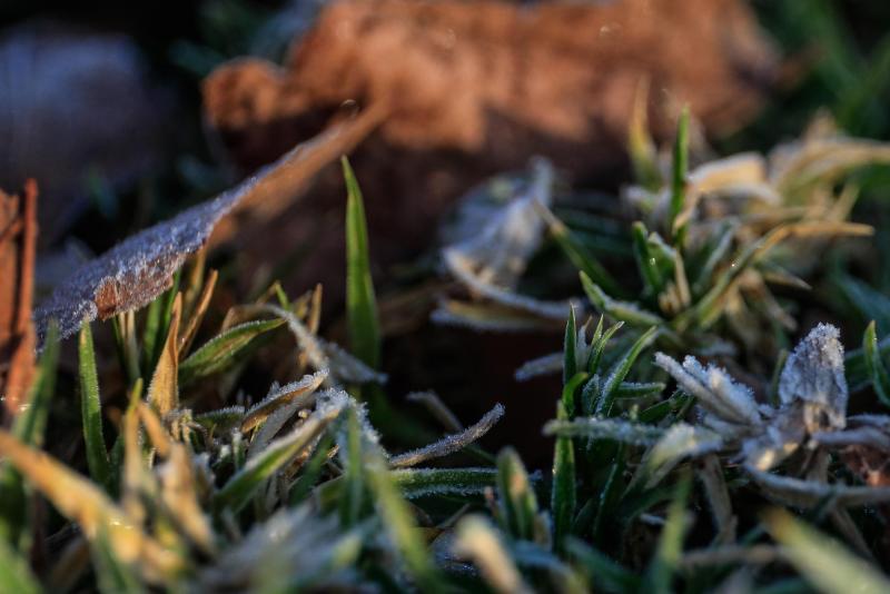 Agencia Uno - Heladas